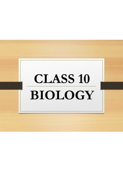 Class-10 Biology Complete Copies Set - St.Josephs Convent School